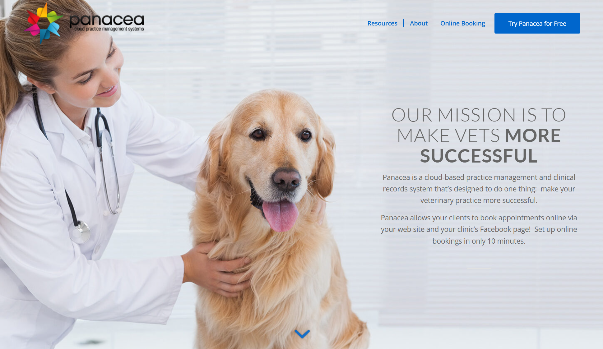 Panacea 2024 dog clinic