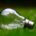 Lightbulb on green field - sustainable vet practice.
