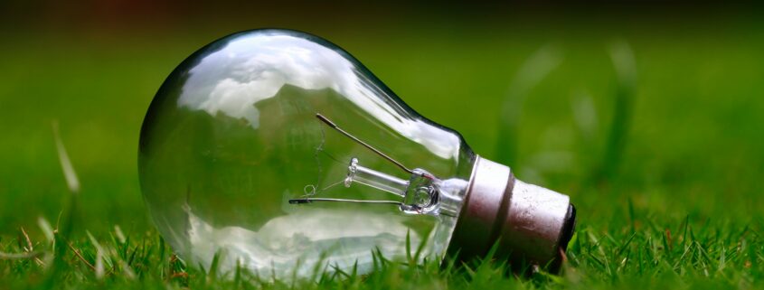 Lightbulb on green field - sustainable vet practice.