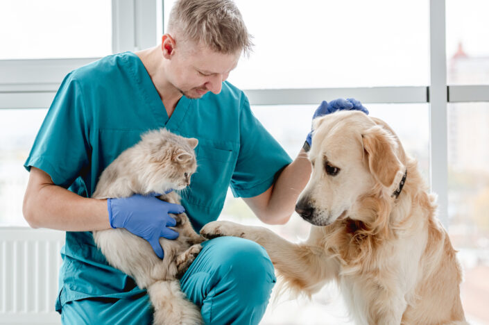 Vet improving their mental health by petting a dog and holding a cat.