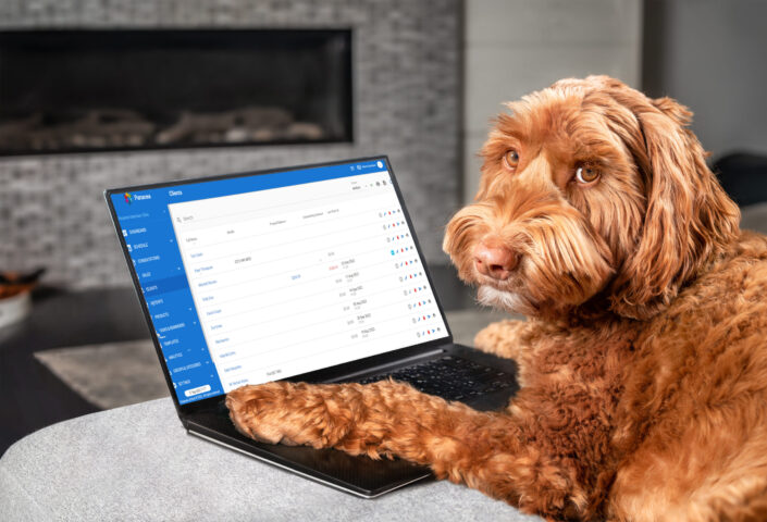 Improving Internet Access at Your Clinic – max Brown dog browsing the internet on a laptop.