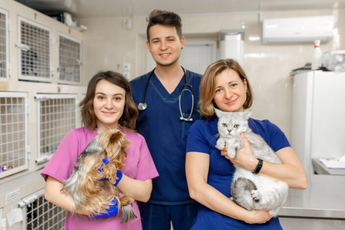 Smiling,Young,Veterinary,Team,Of,Young,Professionals.,Hold,In,Hands