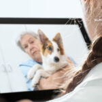 A female vet speaking to a client holding a dog through a tablet.